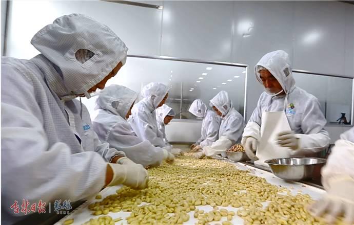 鑫达农牧花生生产车间