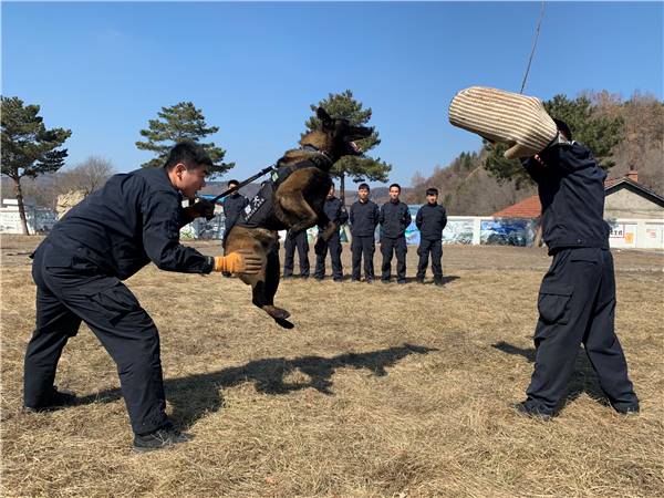 边防330旅旅长王长义图片