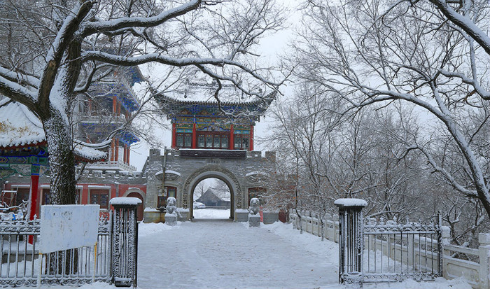 点·看城市繁华:播撒独具特色的艺术芬芳丨吉林省女摄影家流年碎影(30