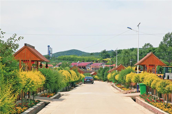 乡村振兴的"九台路径"