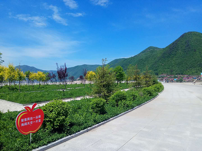 临江市苇沙河镇:建绿色健康小镇,让美丽乡村升级