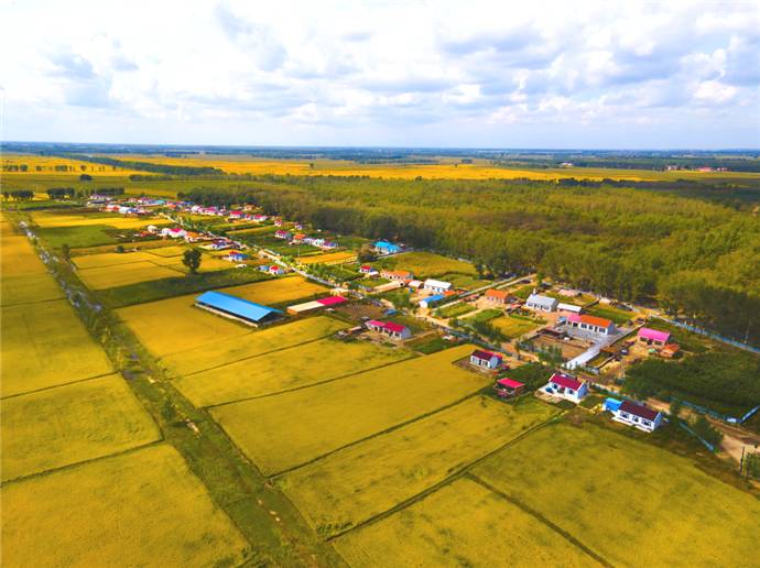 镇赉县乡村丰收图景.