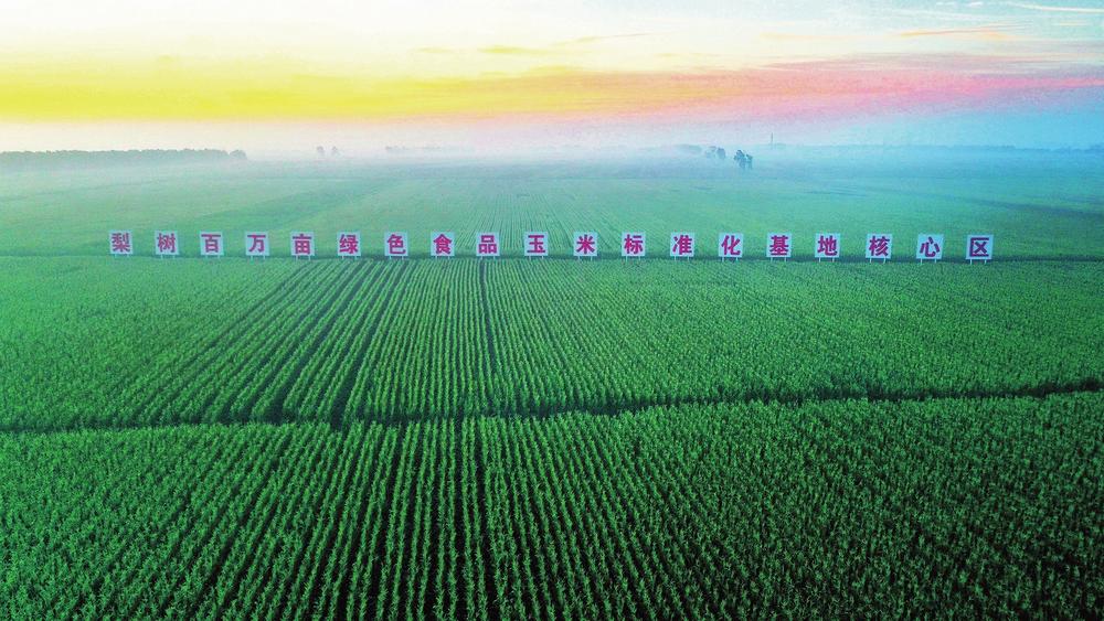 梨树县百万亩绿色食品玉米标准化基地.李坤 航拍