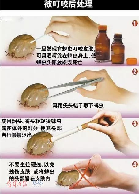 夏天来了,家长们这两件事务必提防,别让宝宝"中招"
