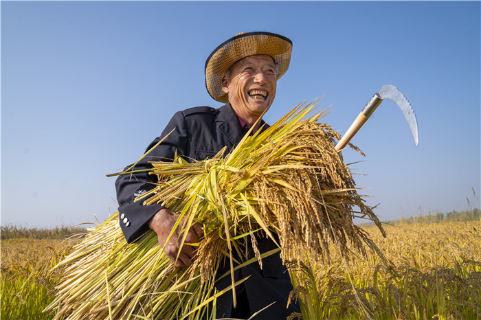 金秋丰收喜悦满心头丨吉林省女摄影家流年碎影44