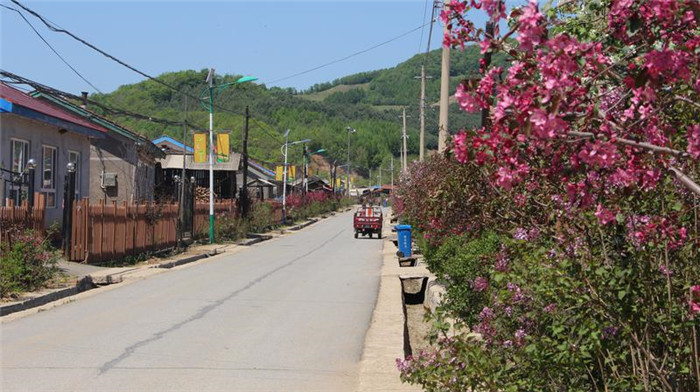 在希望的田野上——探寻靖宇县乡村振兴的"密码"