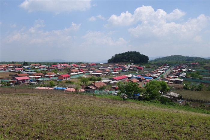 在希望的田野上——探寻靖宇县乡村振兴的"密码"