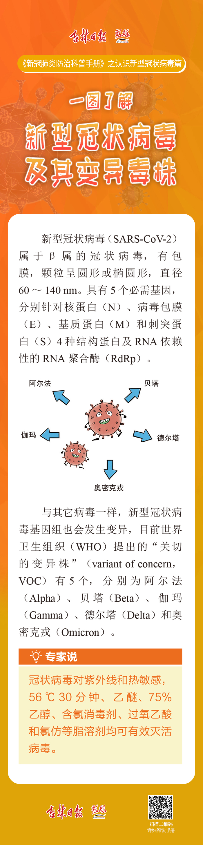 一圖瞭解新型冠狀病毒及其變異毒株