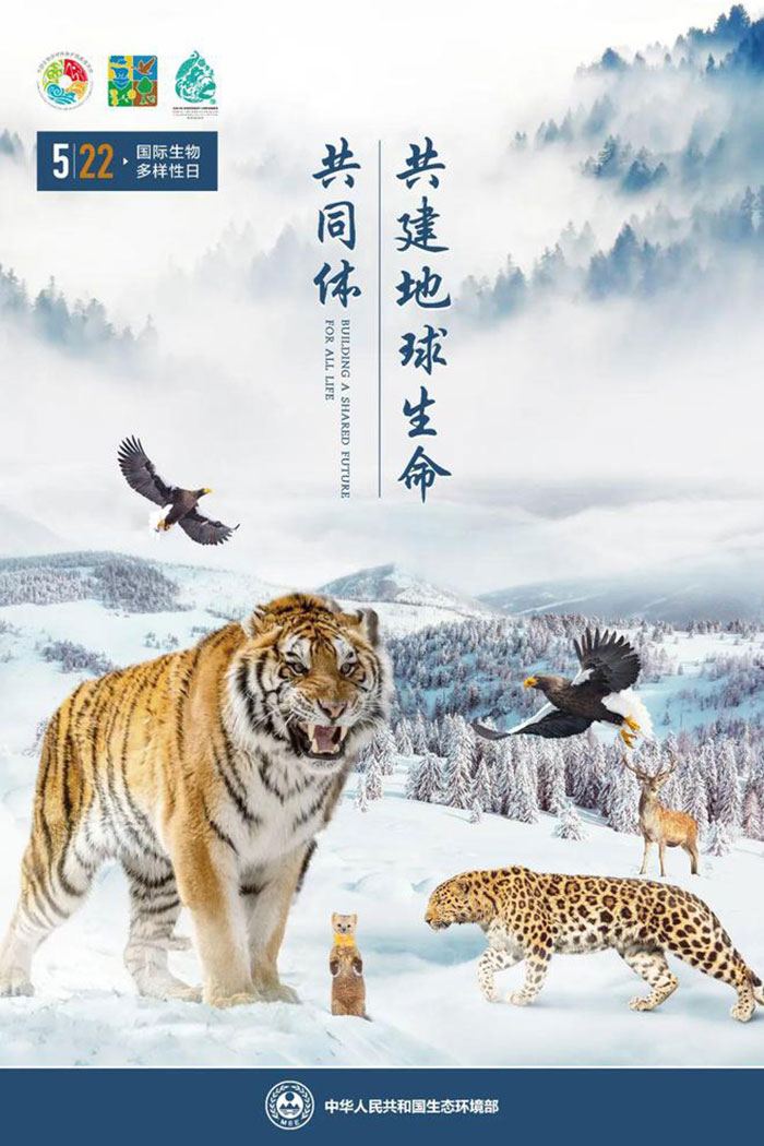 创意海报丨共享大美吉林吉林省野生动植物高达8900余种